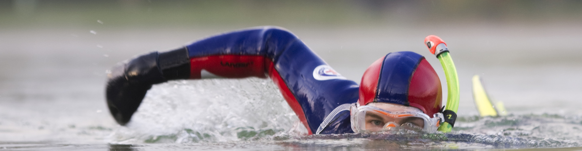 HeaderSwim